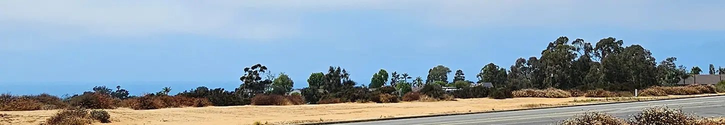 La Jolla Coastline