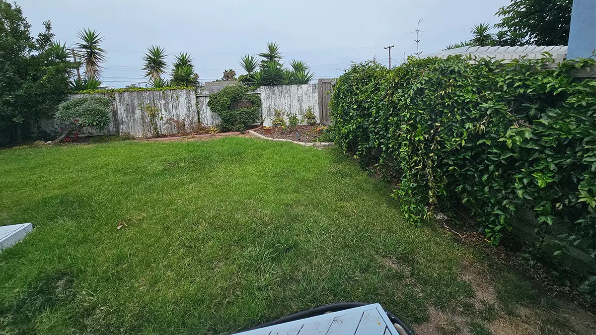 Beautiful backyard with lush green grass, trees, and a patio